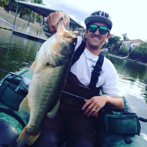 Meet your Posher, Alvin